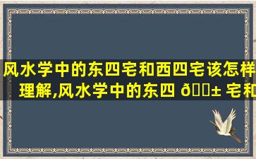 风水学中的东四宅和西四宅该怎样理解,风水学中的东四 🐱 宅和西四宅该怎样理解